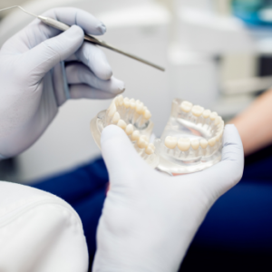 AFK + ADAT course - cycle